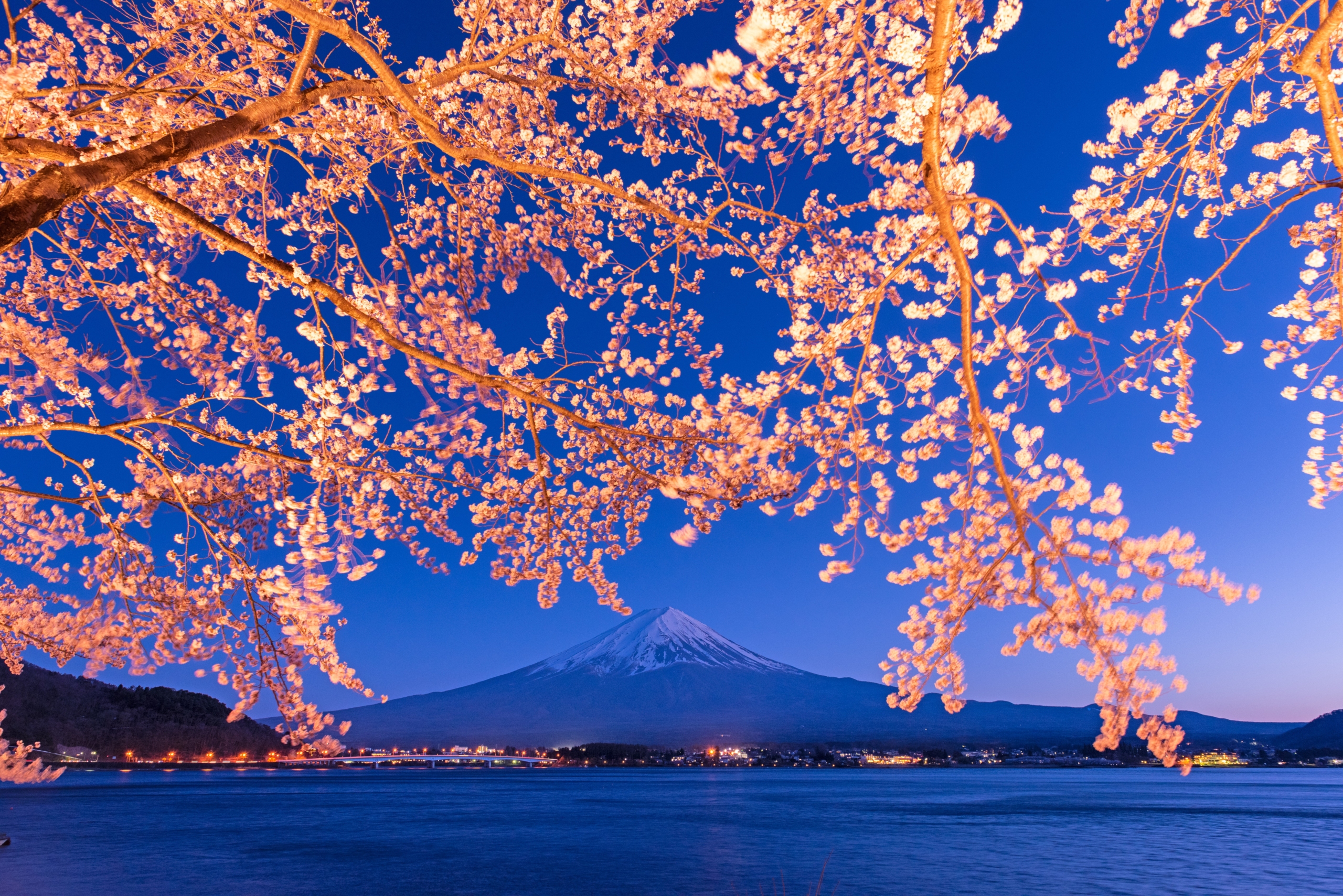Kawaguchi Lake, Japan at Mt. Fuji in the Evening
